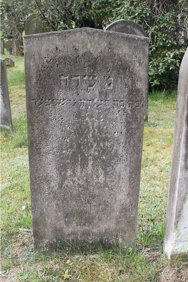 Grabstein Nummer 202 auf dem Friedhof Potsdam