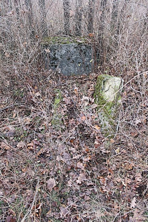 Grabstein Nummer 10 auf dem Friedhof Zasieki (Forst)