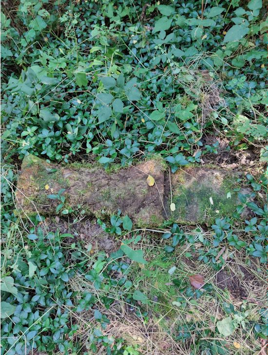 Grabstein Nummer 37 auf dem Friedhof Boleszkowice (Fürstenfelde)