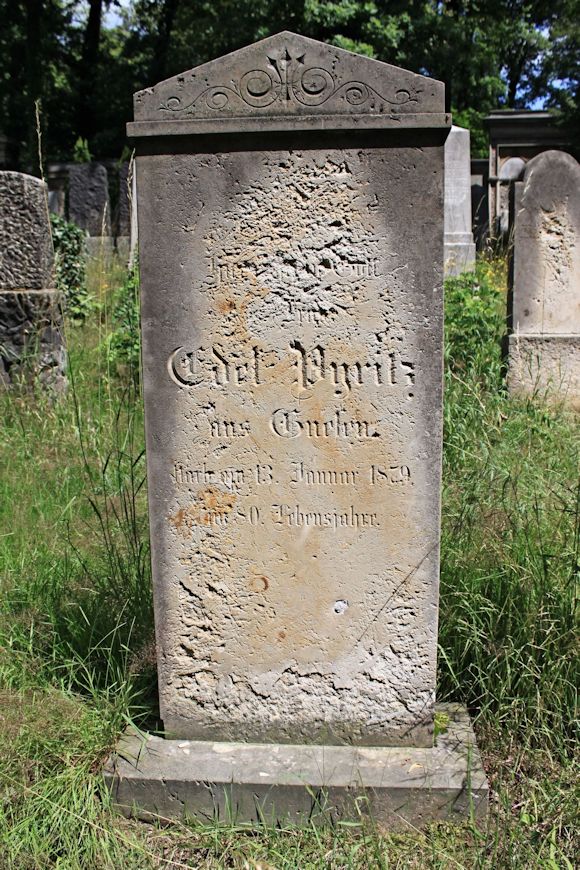 Grabstein Nummer 256 auf dem Friedhof Potsdam