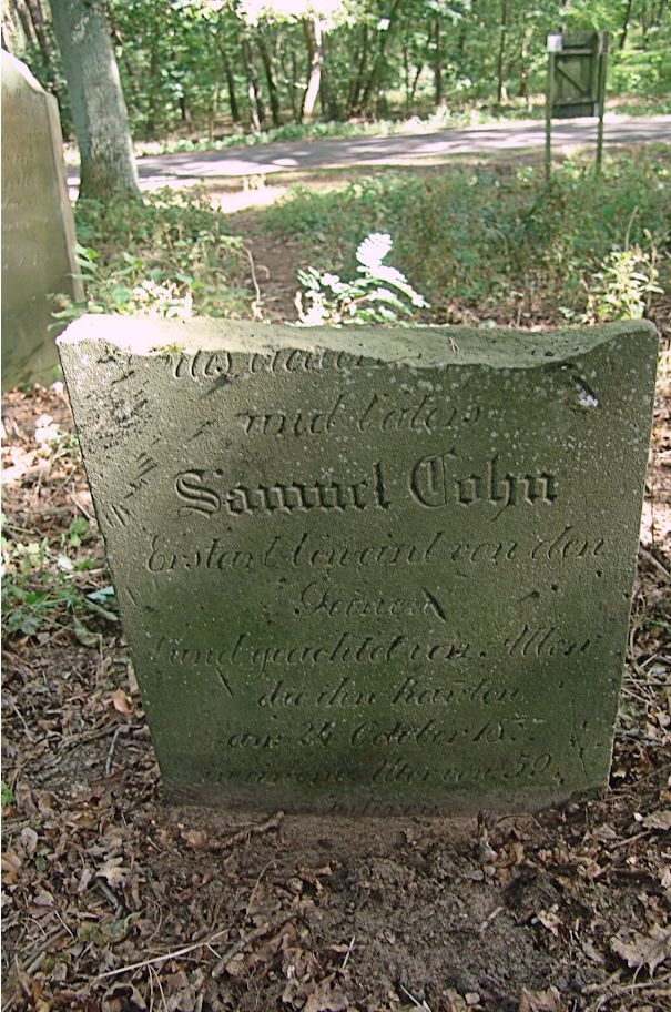 Grabstein Nummer 35 auf dem Friedhof Trzciel (Tirschtiegel)