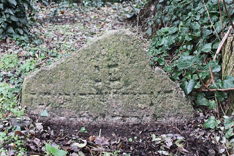 Grabstein Nummer 8 auf dem Friedhof Moryń (Mohrin)