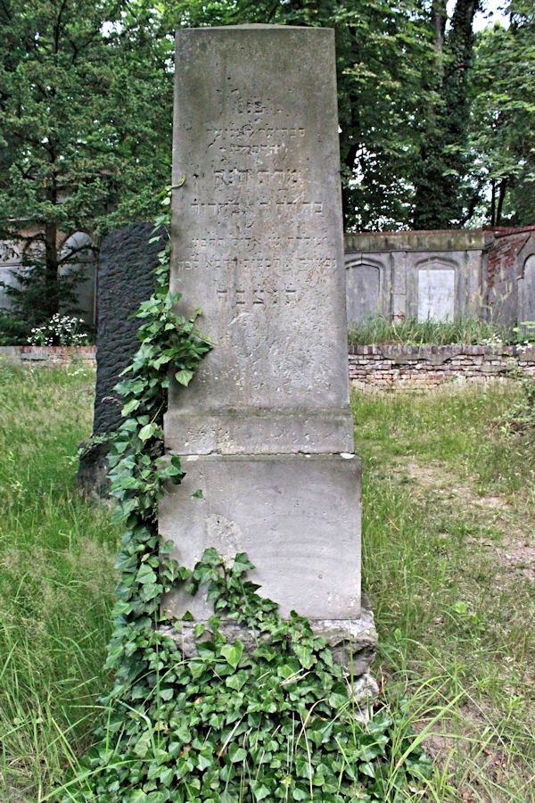 Grabstein Nummer 337 auf dem Friedhof Potsdam