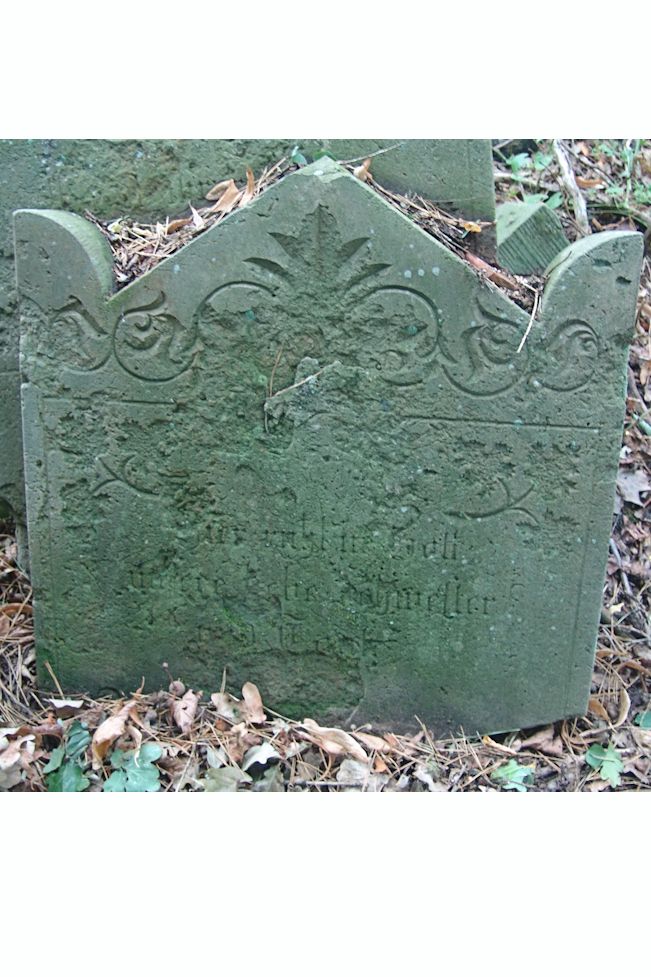 Grabstein Nummer 110 auf dem Friedhof Trzciel (Tirschtiegel)