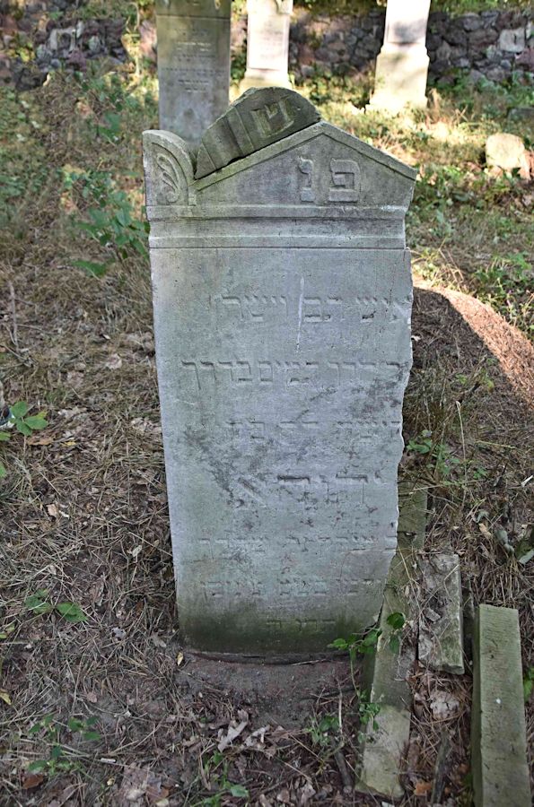 Grabstein Nummer 74 auf dem Friedhof Trzemeszno Lubuskie (Schermeisel)