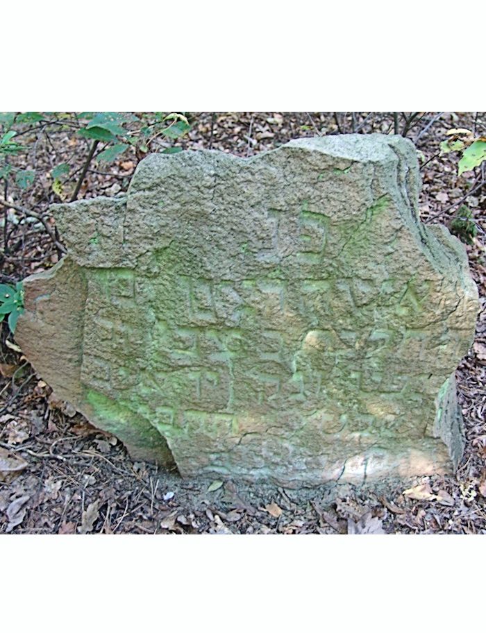 Grabstein Nummer 89 auf dem Friedhof Trzciel (Tirschtiegel)