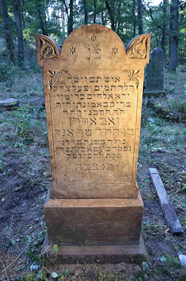 Grabstein Nummer 79 auf dem Friedhof Trzemeszno Lubuskie (Schermeisel)