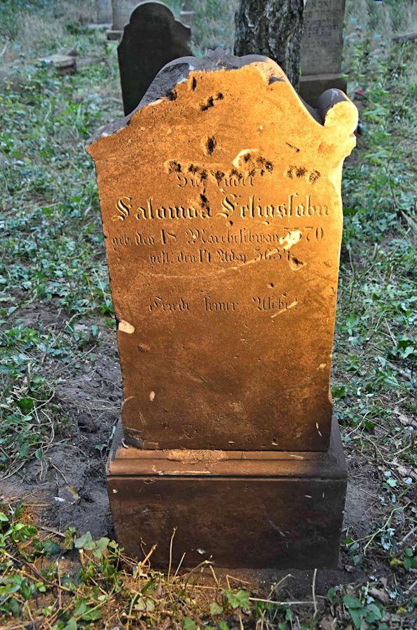 Grabstein Nummer 102 auf dem Friedhof Trzemeszno Lubuskie (Schermeisel)