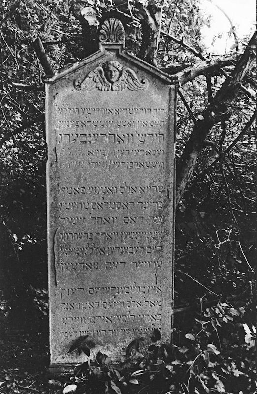 Grabstein Nummer 9 auf dem Friedhof Chojna (Königsberg)