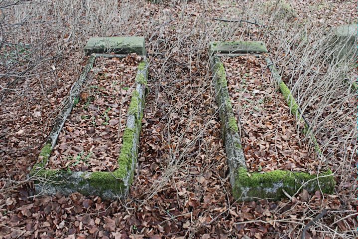 Grabstein Nummer 25 auf dem Friedhof Zasieki (Forst)