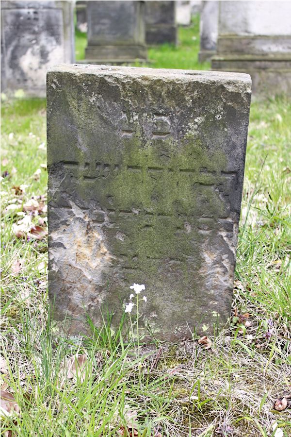 Grabstein Nummer 141 auf dem Friedhof Potsdam
