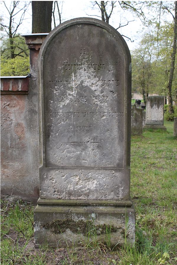 Grabstein Nummer 195 auf dem Friedhof Potsdam