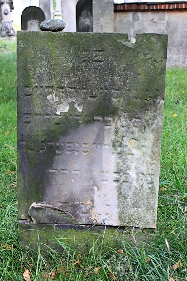 Grabstein Nummer 149 auf dem Friedhof Potsdam