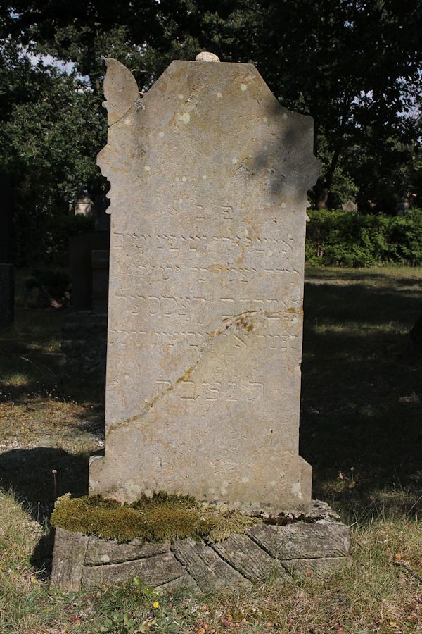 Grabstein Nummer 84 auf dem Friedhof Guben