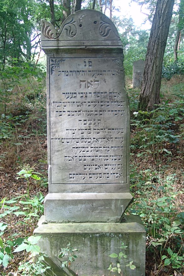 Grabstein Nummer 31 auf dem Friedhof Trzciel (Tirschtiegel)