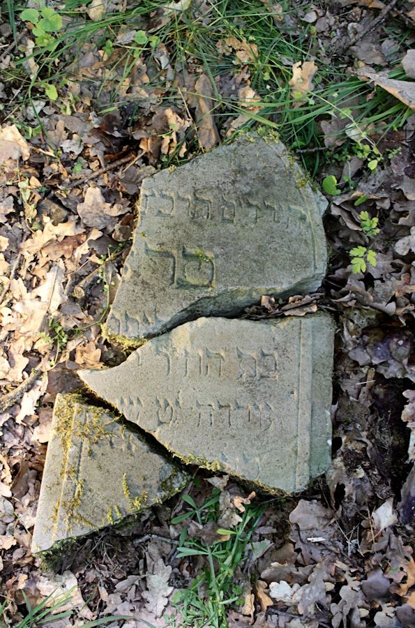Grabstein Nummer 105 auf dem Friedhof Bledzew (Blesen)