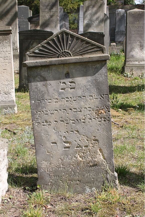 Grabstein Nummer 177 auf dem Friedhof Potsdam
