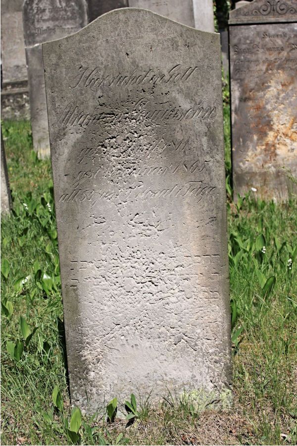 Grabstein Nummer 186 auf dem Friedhof Potsdam
