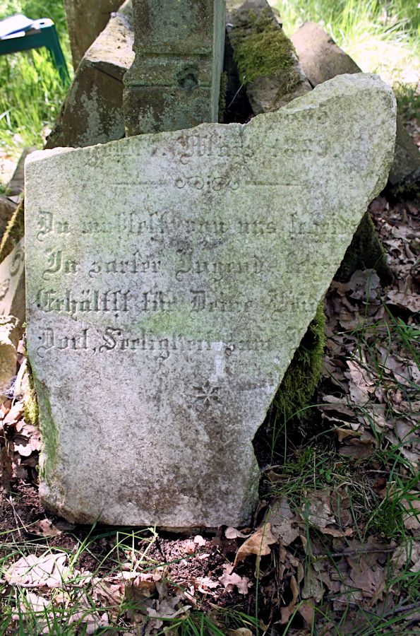 Grabstein Nummer 101 auf dem Friedhof Bledzew (Blesen)
