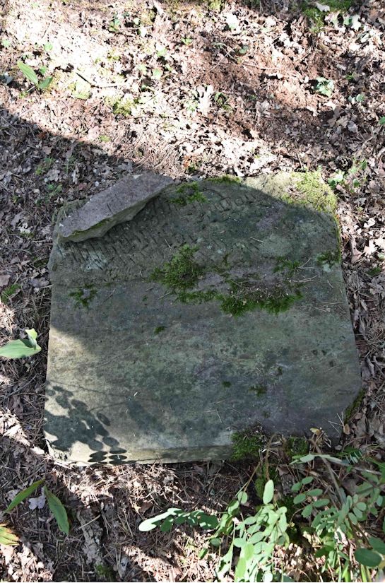 Grabstein Nummer 12 auf dem Friedhof Trzemeszno Lubuskie (Schermeisel)
