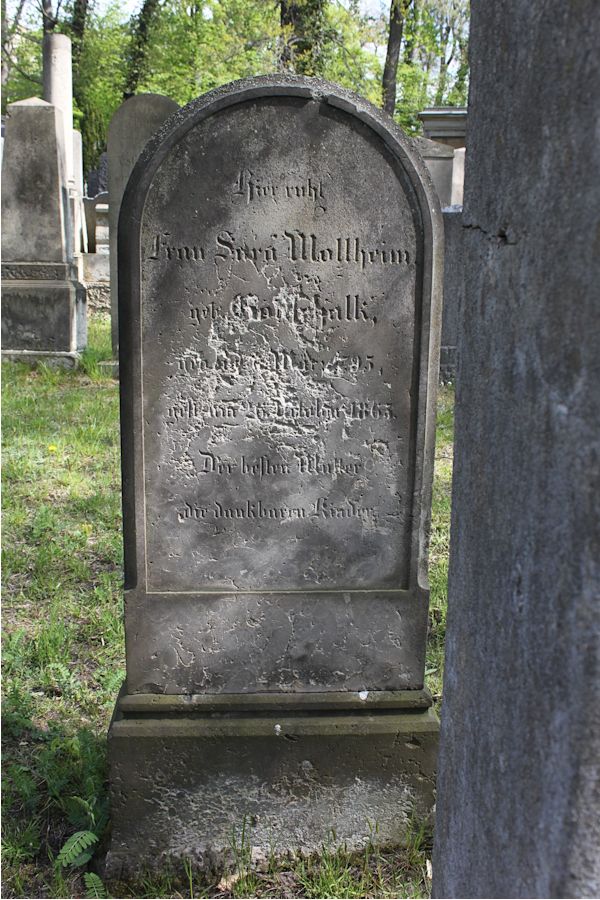 Grabstein Nummer 195 auf dem Friedhof Potsdam