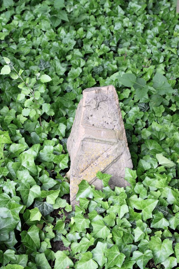 Grabstein Nummer 8 auf dem Friedhof Pszczew (Betsche)
