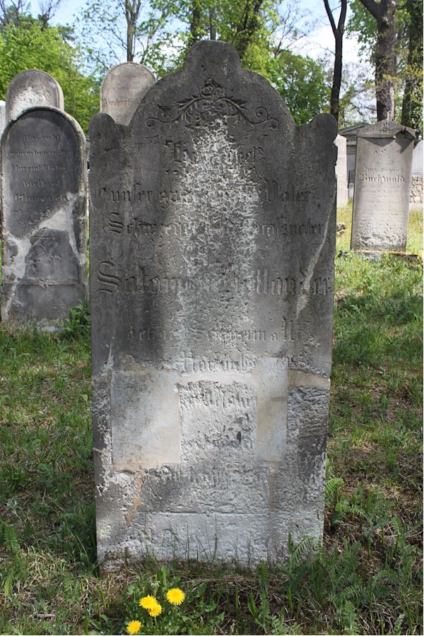 Grabstein Nummer 198 auf dem Friedhof Potsdam