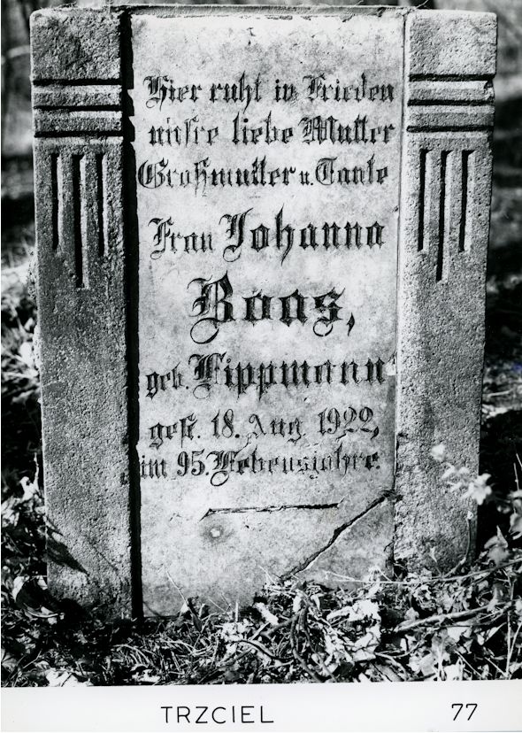 Grabstein Nummer 1 auf dem Friedhof Trzciel (Tirschtiegel)