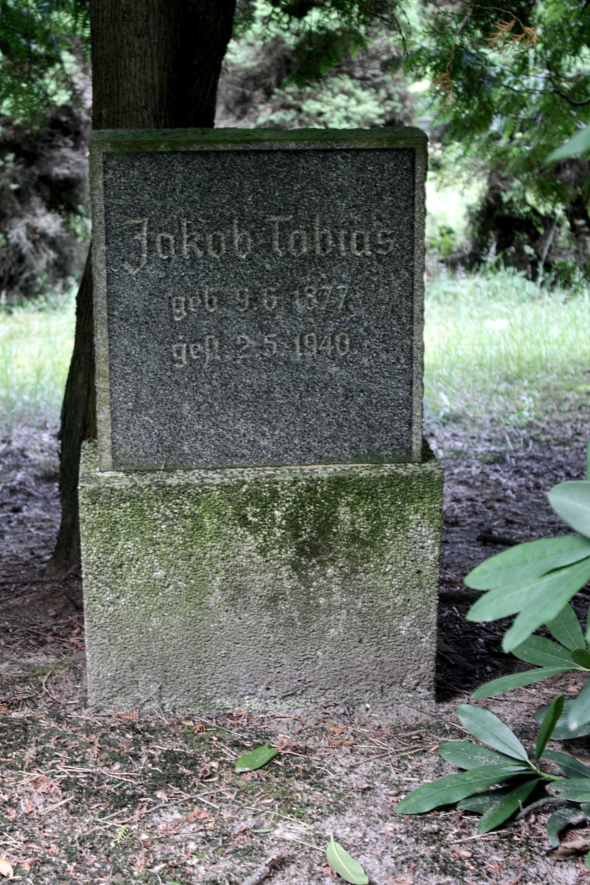 Grabstein Nummer 66 auf dem Friedhof Cottbus 1