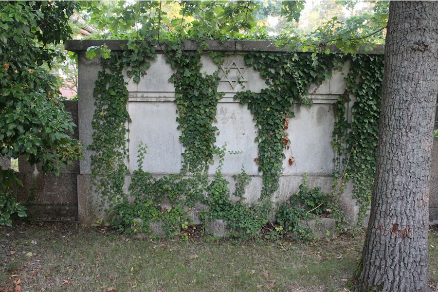 Grabstein Nummer 41 auf dem Friedhof Guben