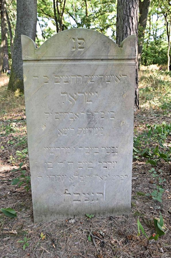 Grabstein Nummer 5 auf dem Friedhof Trzemeszno Lubuskie (Schermeisel)