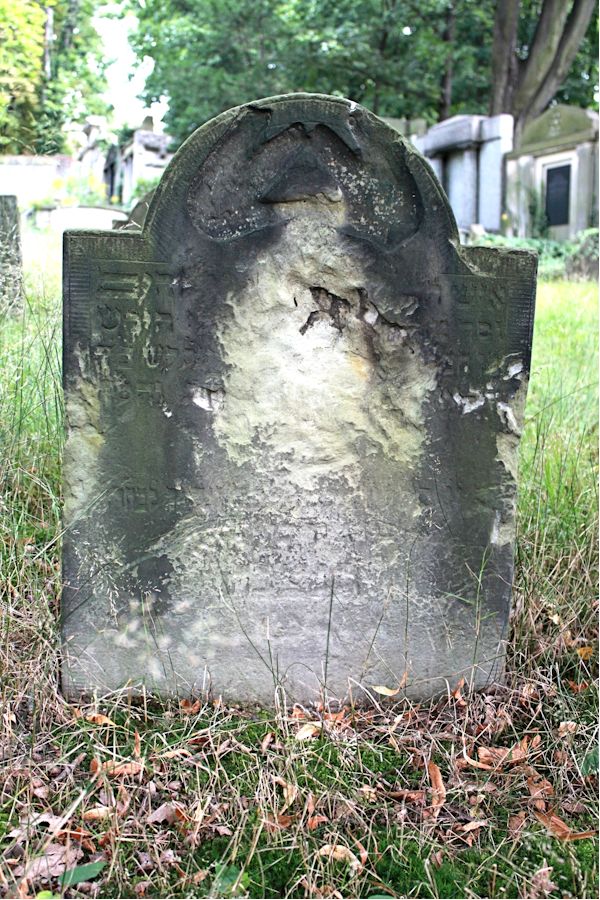 Grabstein Nummer 81 auf dem Friedhof Potsdam