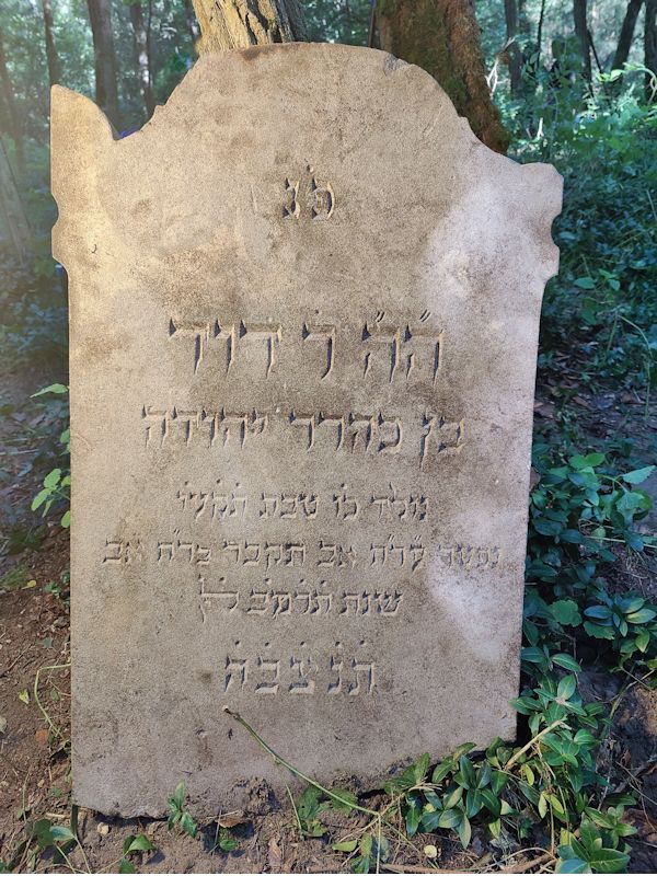 Grabstein Nummer 19 auf dem Friedhof Boleszkowice (Fürstenfelde)