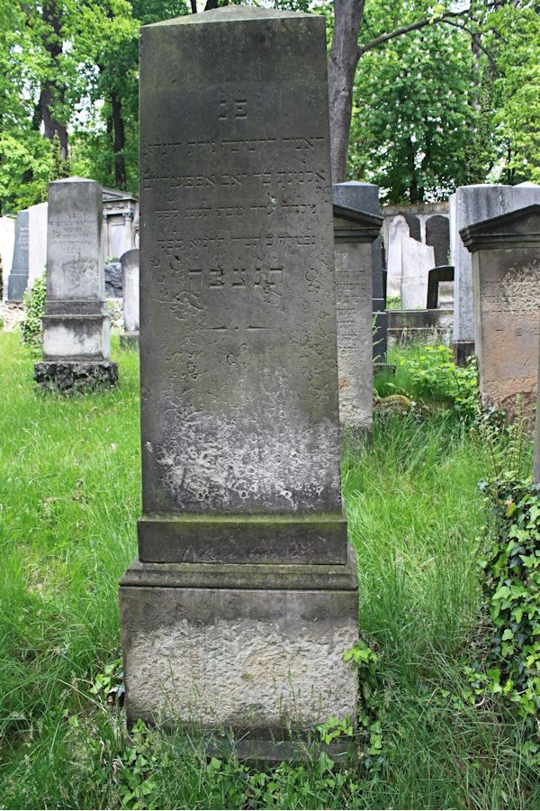 Grabstein Nummer 229 auf dem Friedhof Potsdam