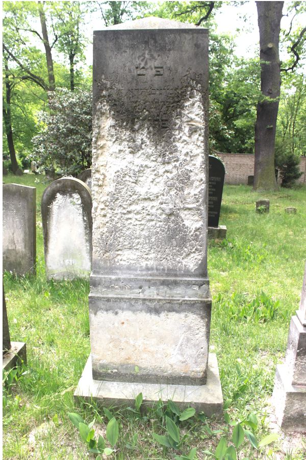 Grabstein Nummer 221 auf dem Friedhof Potsdam