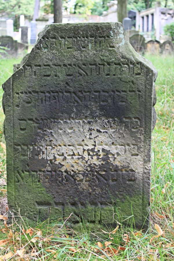 Grabstein Nummer 24 auf dem Friedhof Potsdam