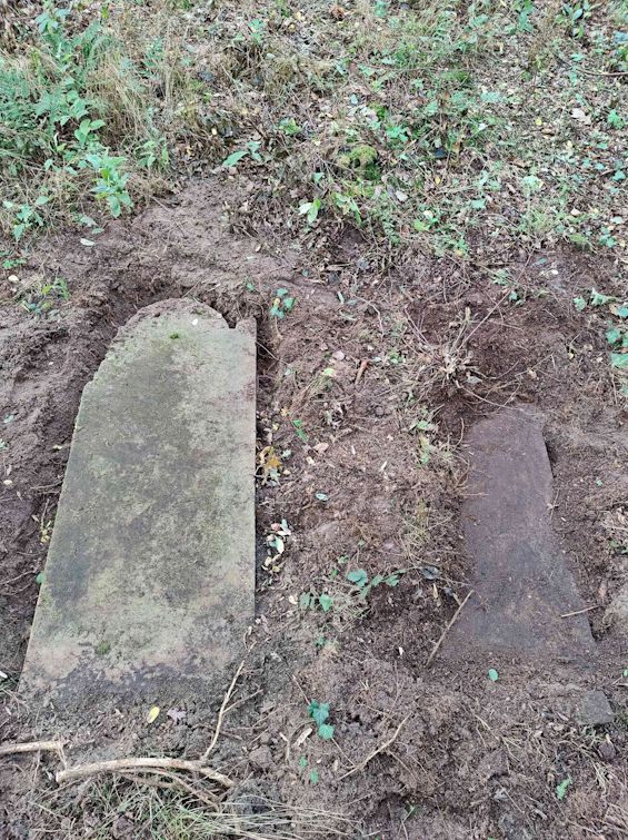 Grabstein Nummer 58 auf dem Friedhof Trzemeszno Lubuskie (Schermeisel)