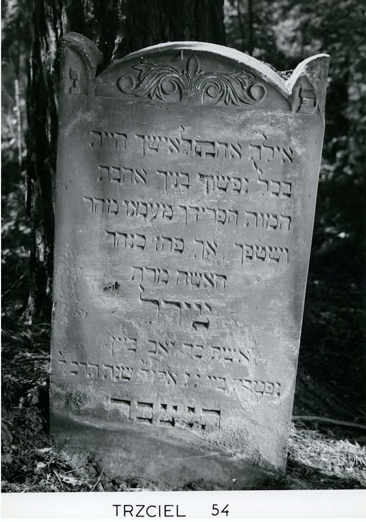 Grabstein Nummer 5 auf dem Friedhof Trzciel (Tirschtiegel)
