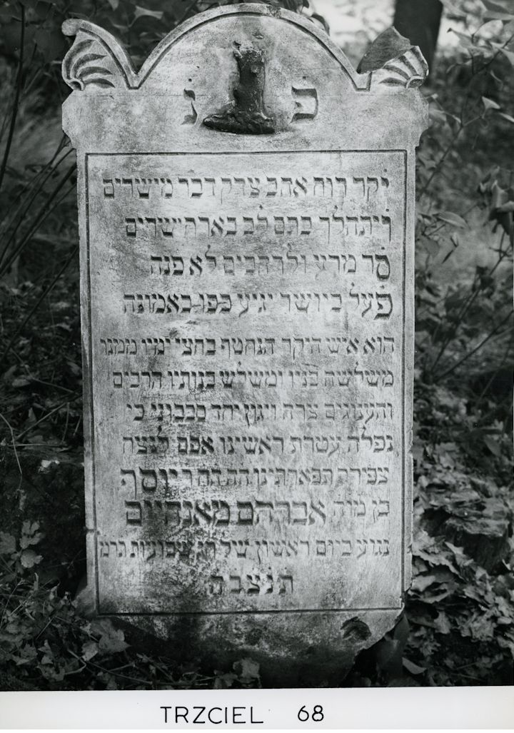 Grabstein Nummer 106 auf dem Friedhof Trzciel (Tirschtiegel)