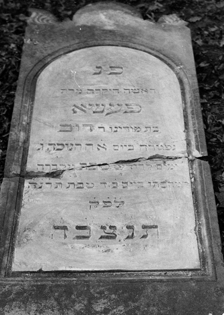 Grabstein Nummer 10 auf dem Friedhof Świętojańsko (St. Johannes)