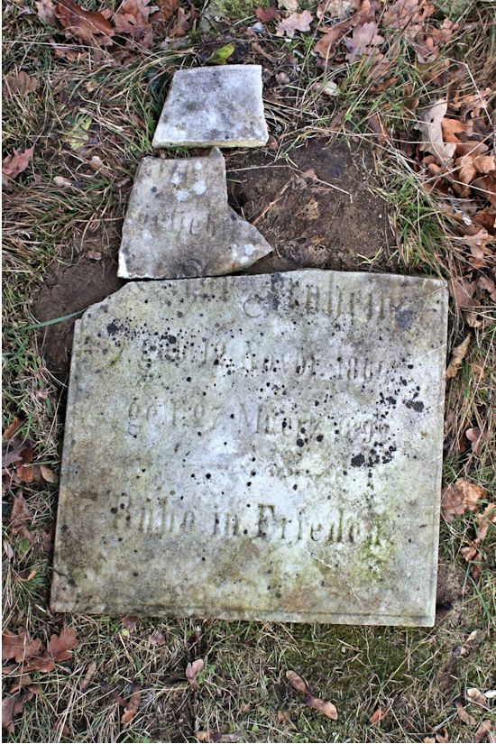 Grabstein Nummer 309 auf dem Friedhof Potsdam