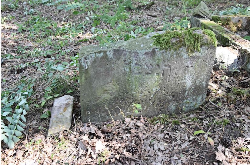 Grabstein Nummer 29 auf dem Friedhof Trzemeszno Lubuskie (Schermeisel)