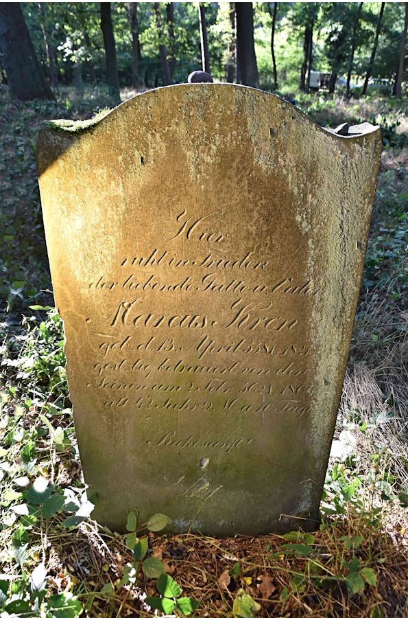 Grabstein Nummer 86 auf dem Friedhof Trzemeszno Lubuskie (Schermeisel)