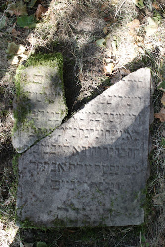 Grabstein Nummer 12 auf dem Friedhof Beelitz
