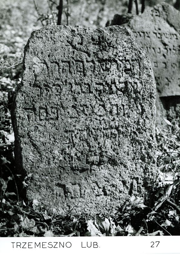 Grabstein Nummer 18 auf dem Friedhof Trzemeszno Lubuskie (Schermeisel)