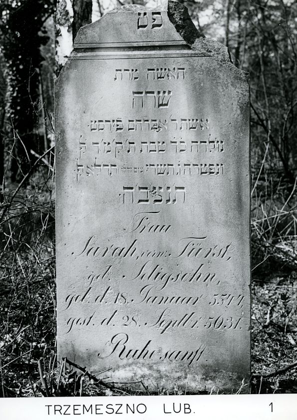 Grabstein Nummer 101 auf dem Friedhof Trzemeszno Lubuskie (Schermeisel)
