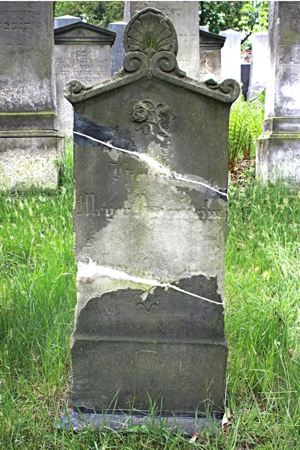 Grabstein Nummer 209 auf dem Friedhof Potsdam