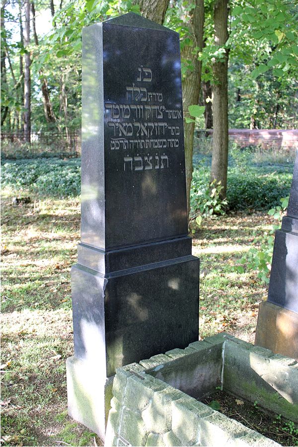 Grabstein Nummer 7 auf dem Friedhof Friedland