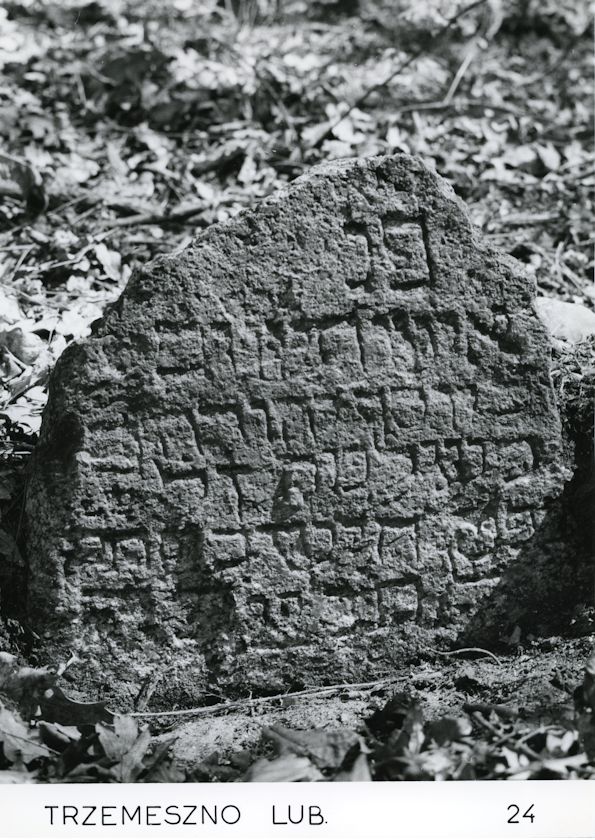 Grabstein Nummer 42 auf dem Friedhof Trzemeszno Lubuskie (Schermeisel)