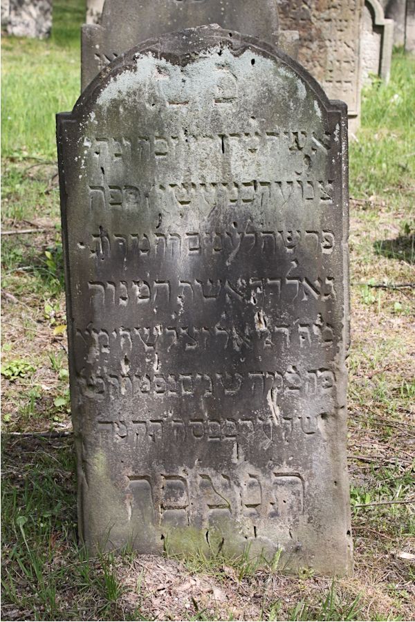 Grabstein Nummer 8 auf dem Friedhof Potsdam